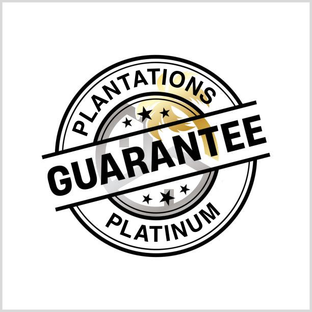 A circular logo with a white background, gold palm tree icon, black stars, and text reading 