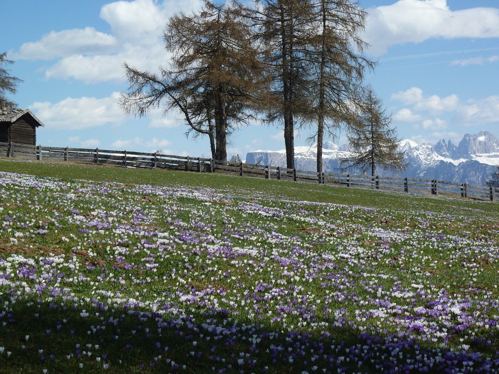 Wanderparadies Salten im schönen Südtirol