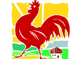 Roter Hahn Urlaub auf dem Bauernhof Logo