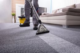 a person is cleaning a carpet with a vacuum cleaner