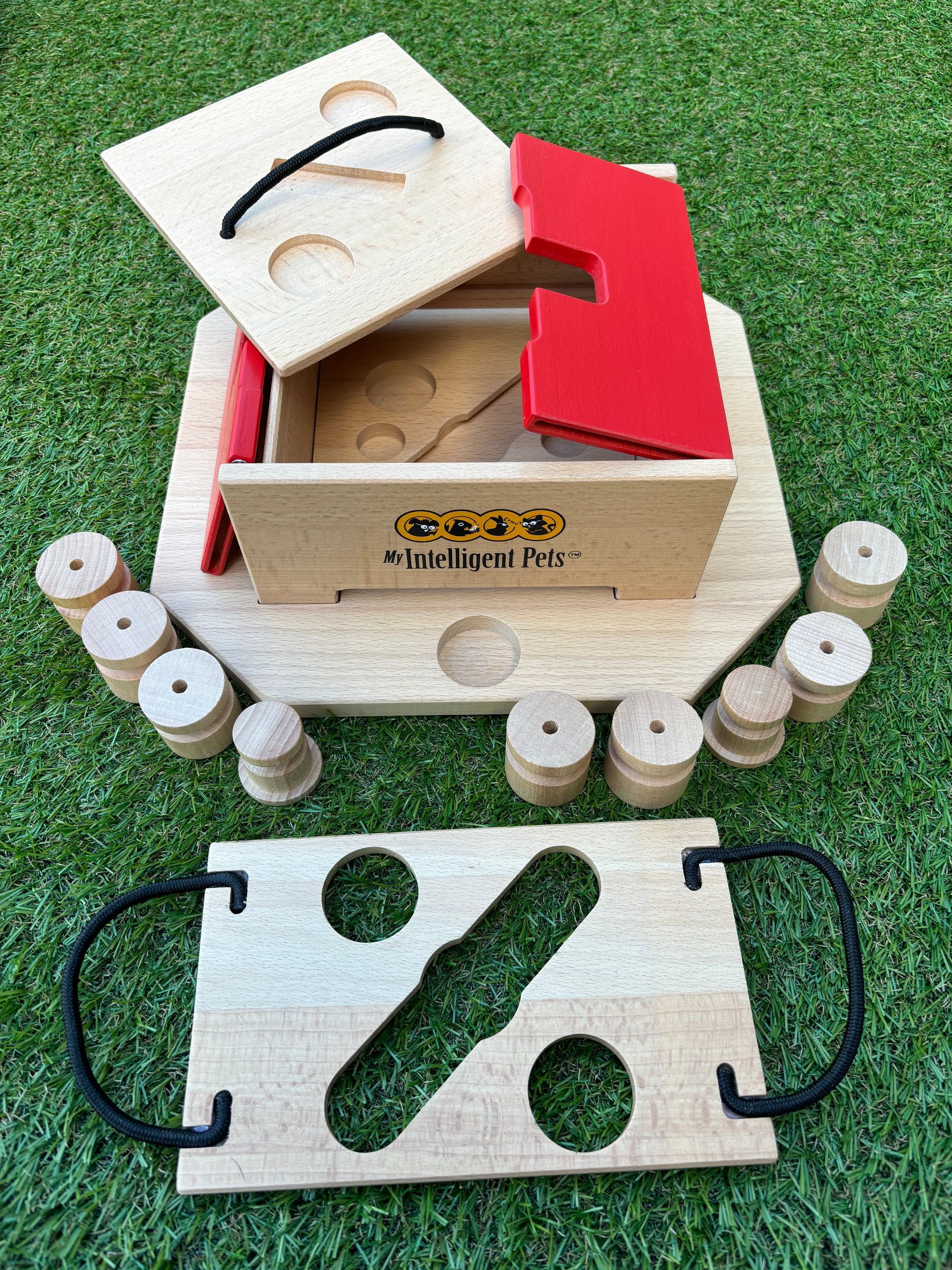 Hondenpuzzel
Hondendenksport
alphen aan den rijn
workshop