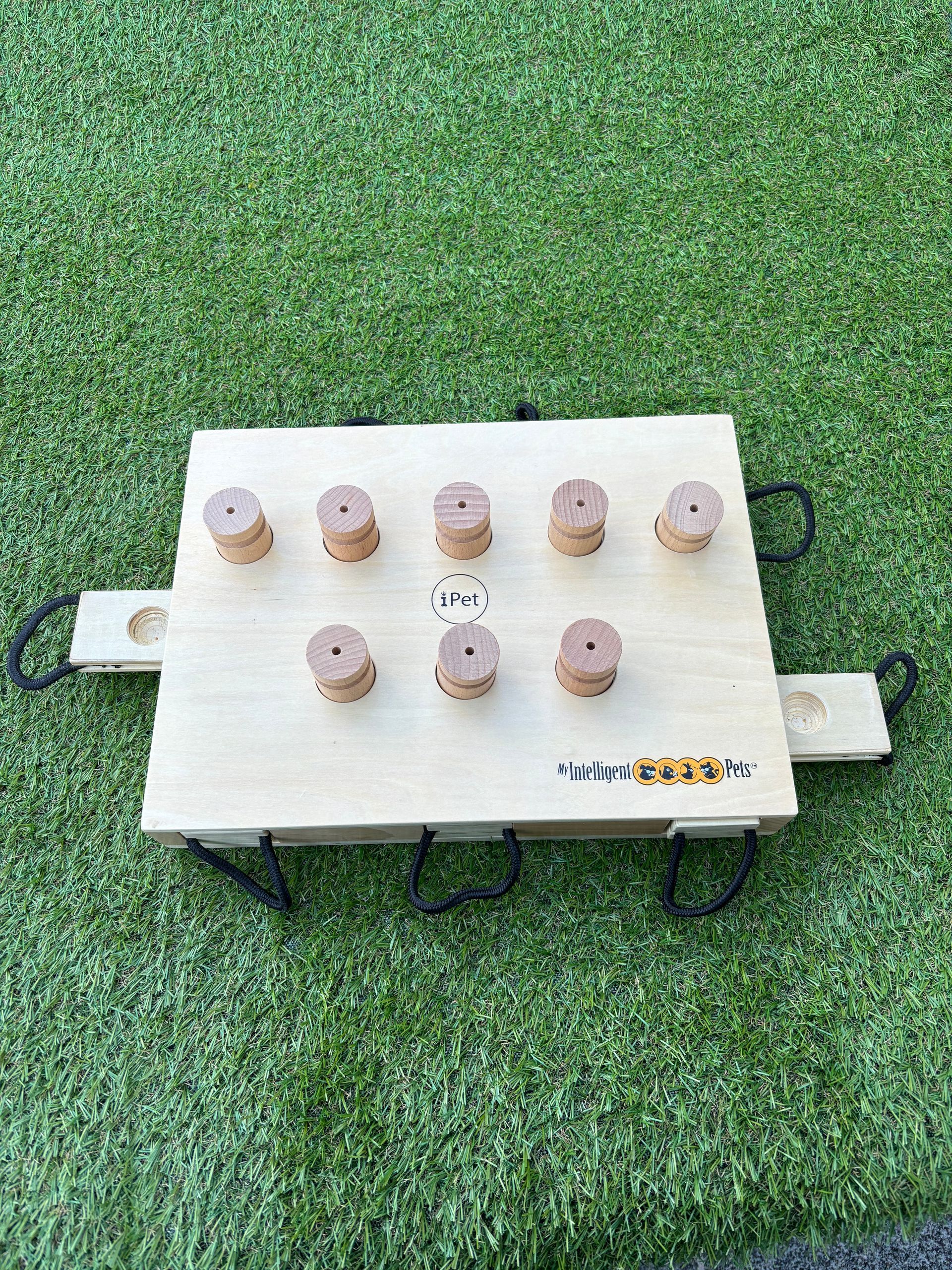 hondendenksport
hondenpuzzel
workshop
alphen aan den rijn
my intelligent dogs