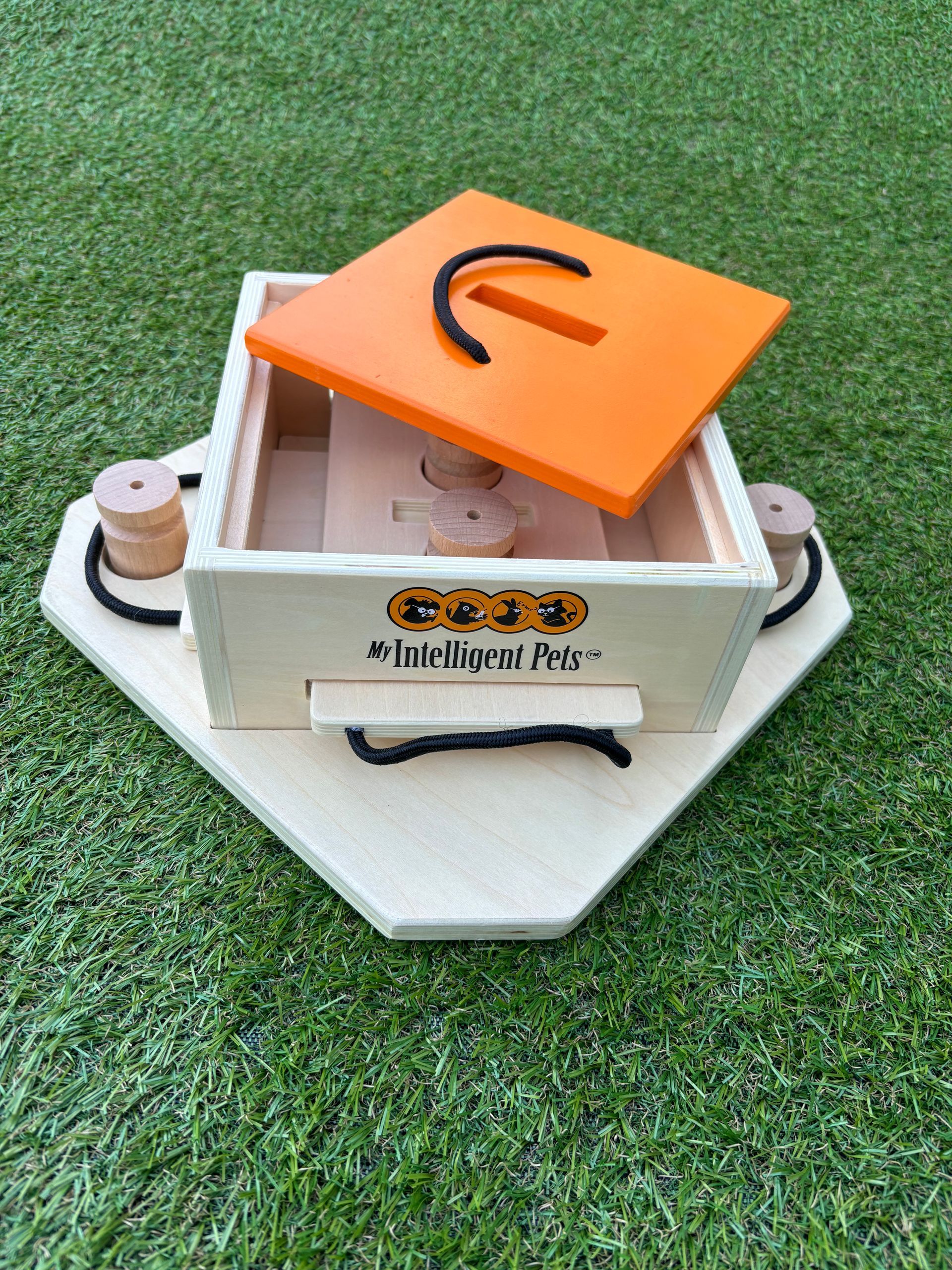 my intelligent dogs
hondendenksport
workshop
alphen aan den rijn
hondenpuzzel