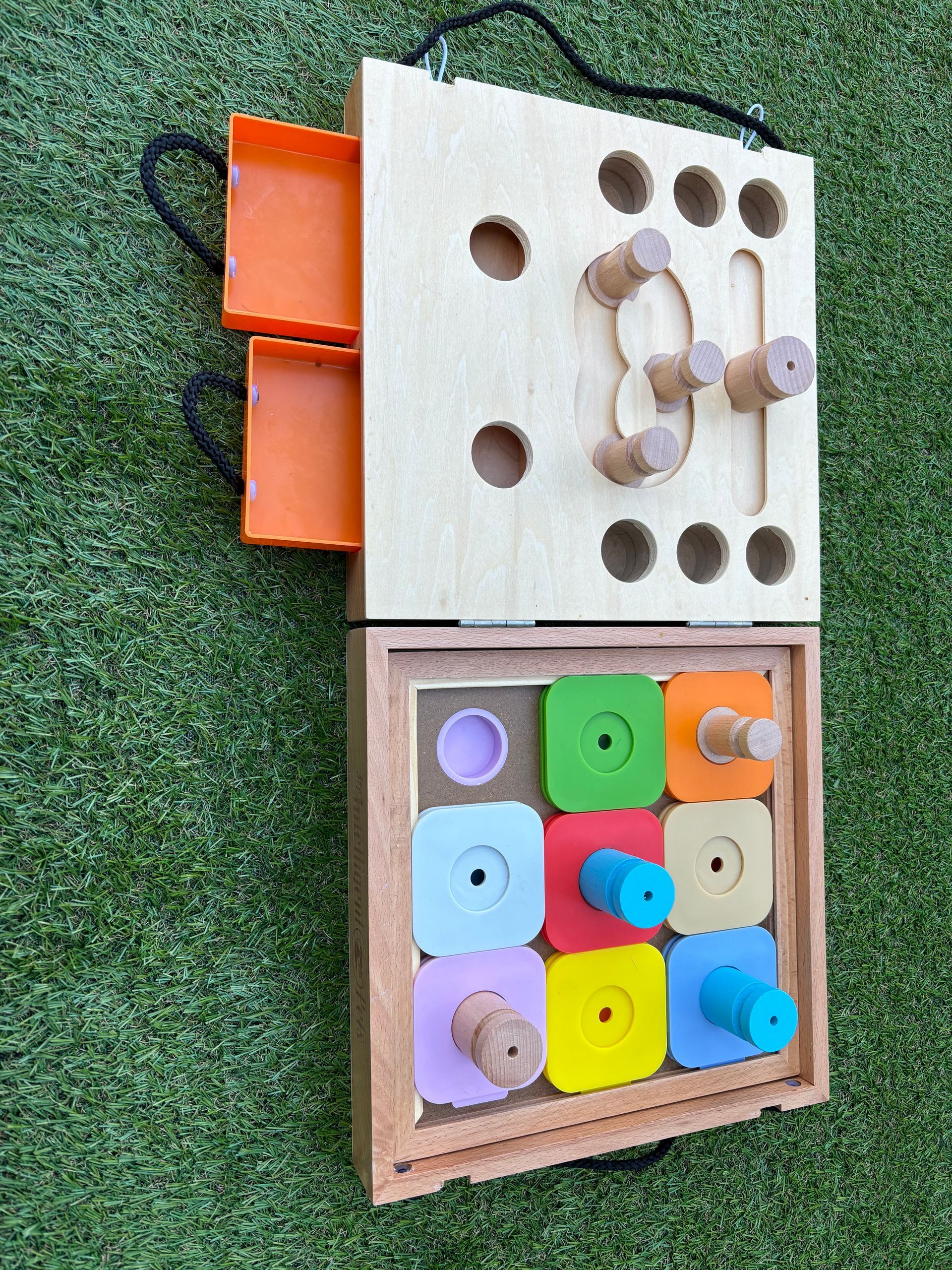 Hondendenksport
workshop
alphen aan den rijn
vakantie
my intelligent dogs