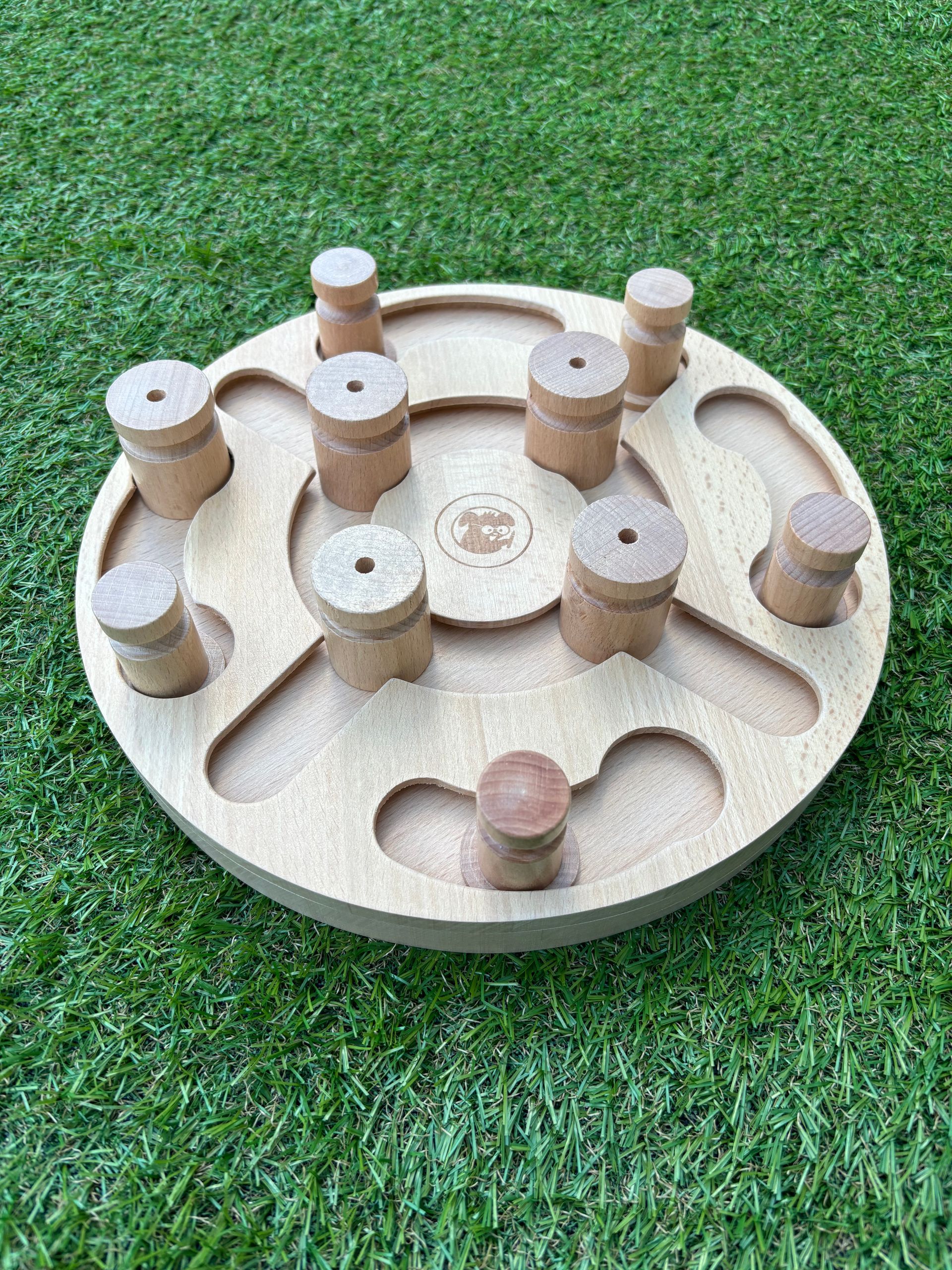 hondenpuzzel
hondendenksport
workshop
alphen aan den rijn