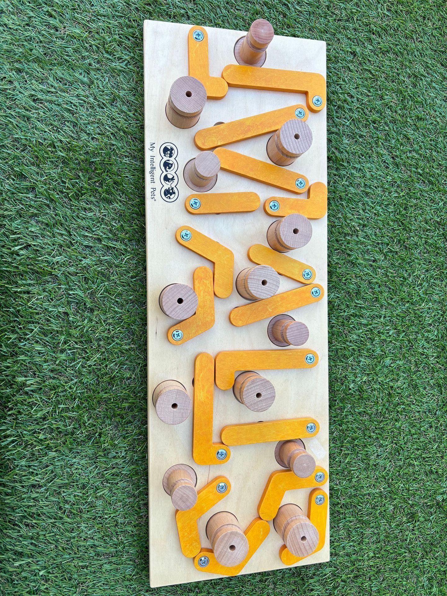 workshop
hondendenksport
alphen aan den rijn
my intelligent dogs
hondenpuzzel