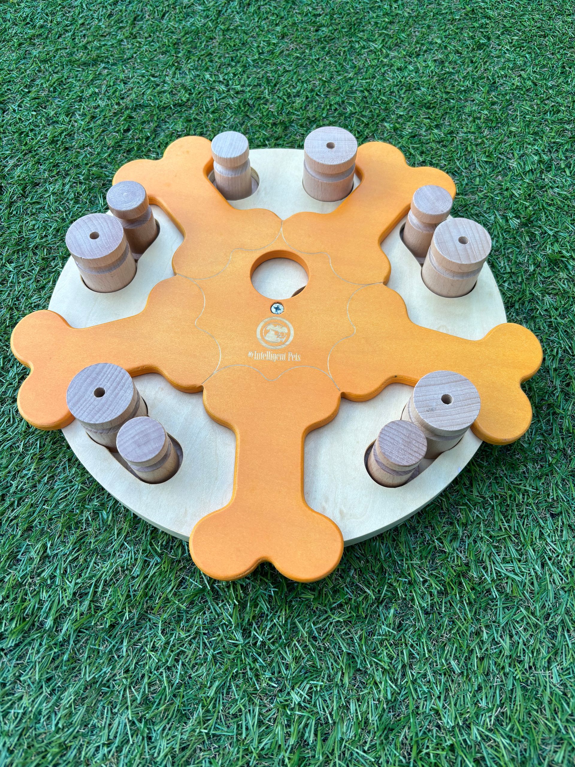 workshop
hondendenksport
alphen aan den rijn
my intelligent dogs
hondenpuzzel