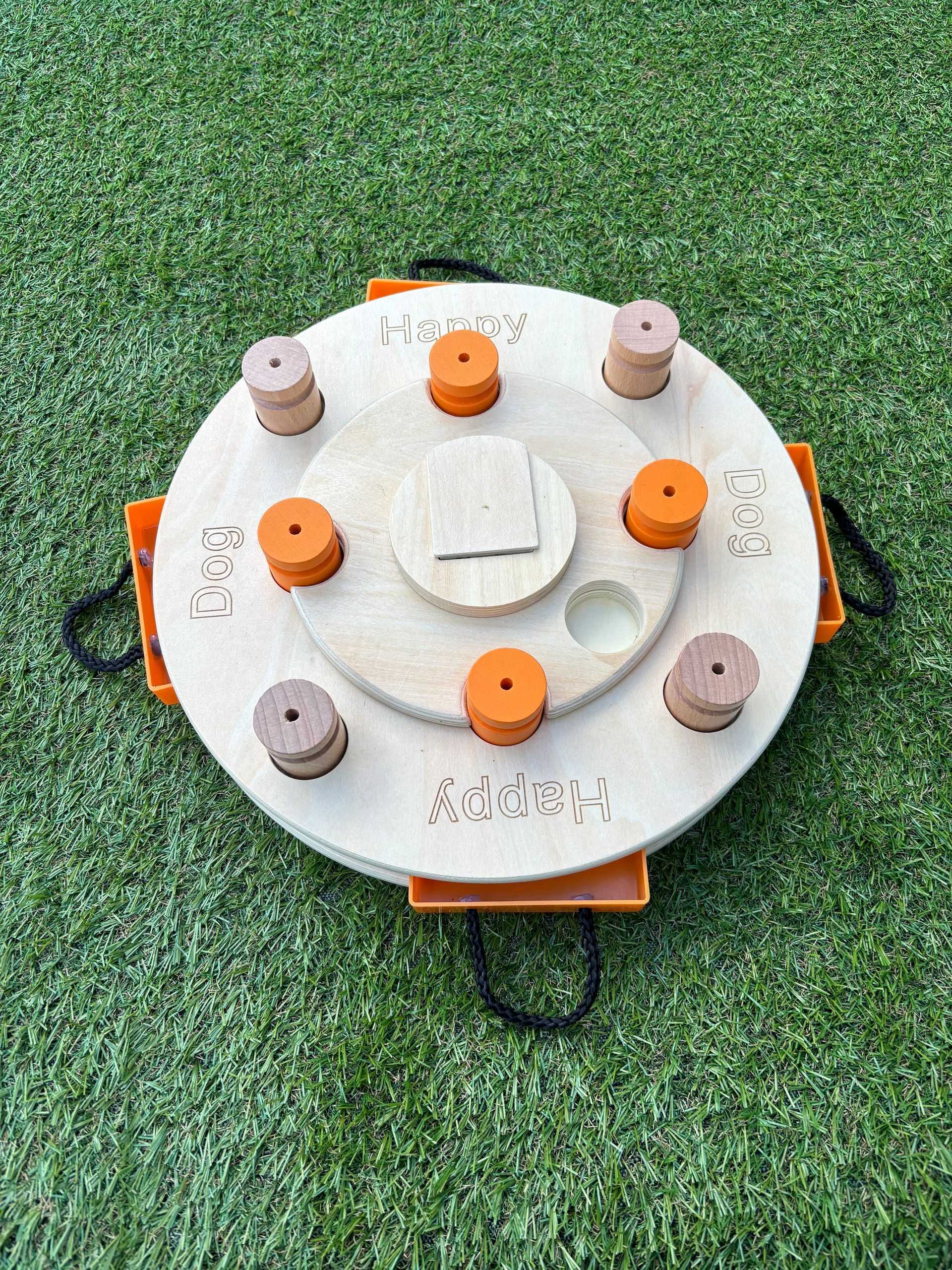 hondendenksport
my intelligent dogs
alphen aan den rijn
workshop
hondenpuzzel