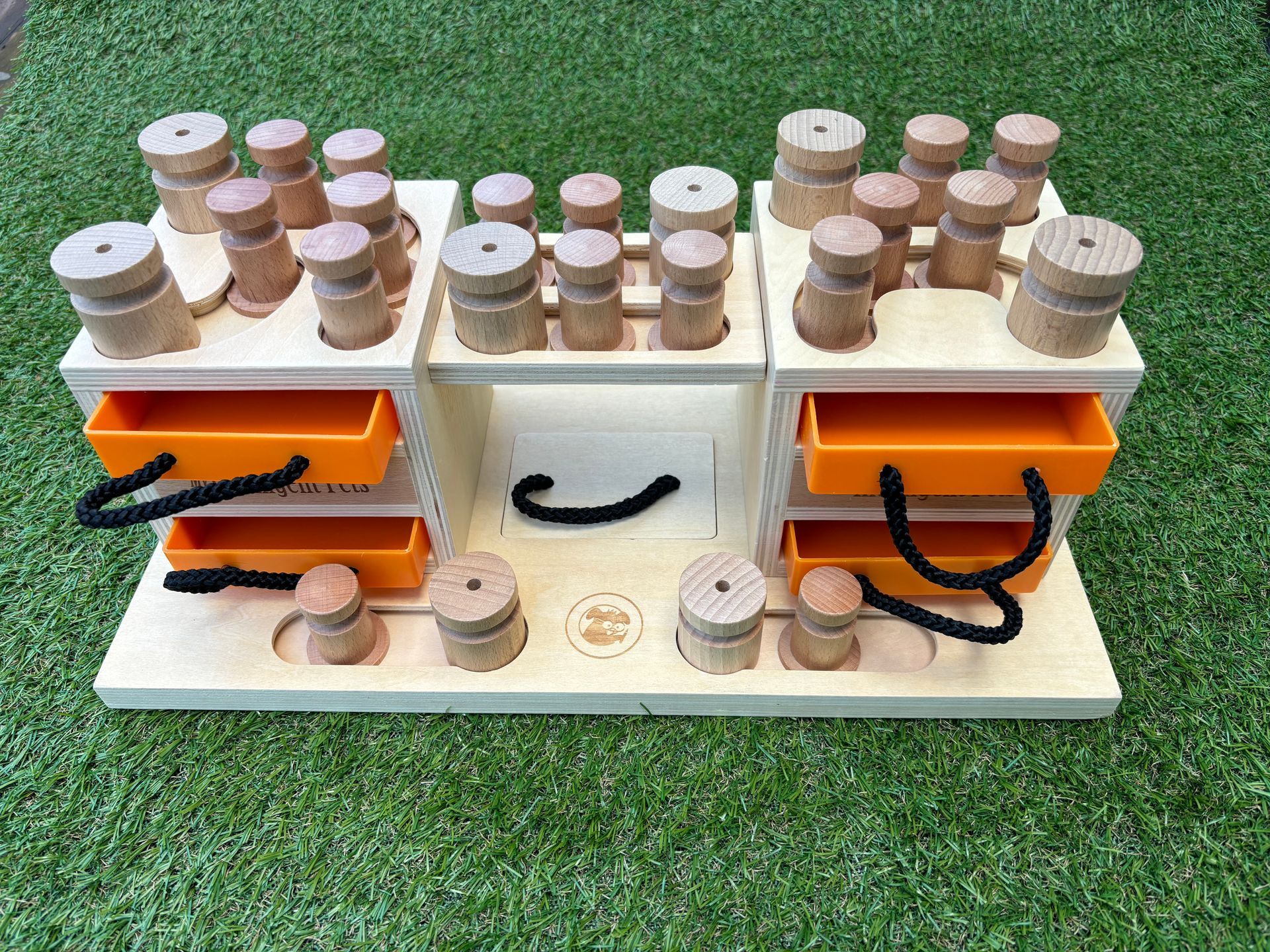 my intelligent dogs
alphen aan den rijn
hondendenksport
workshop
hondenpuzzel