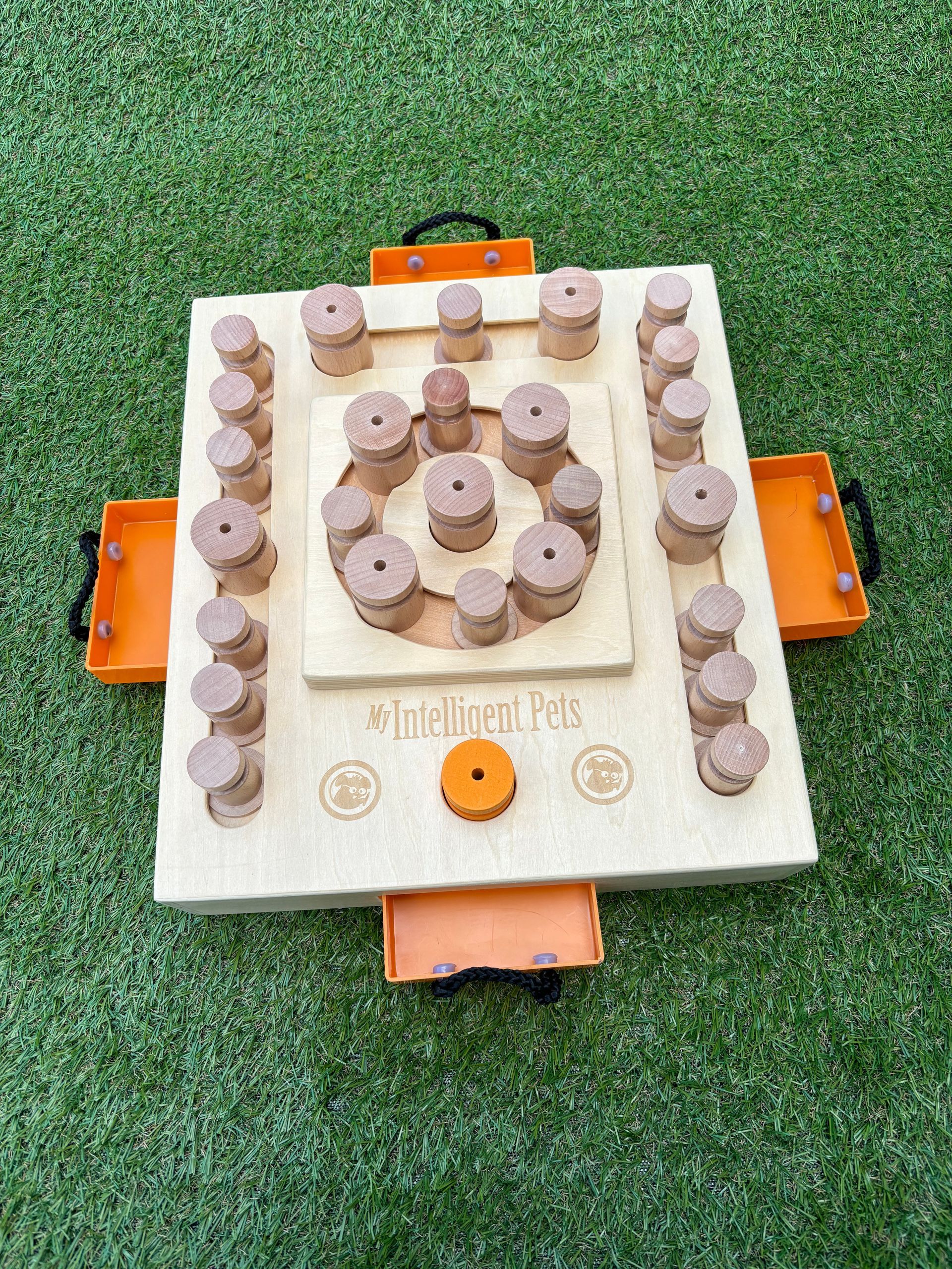 My intelligent dogs
hondendenksport
alphen aan den rijn
hondenpuzzel
workshop