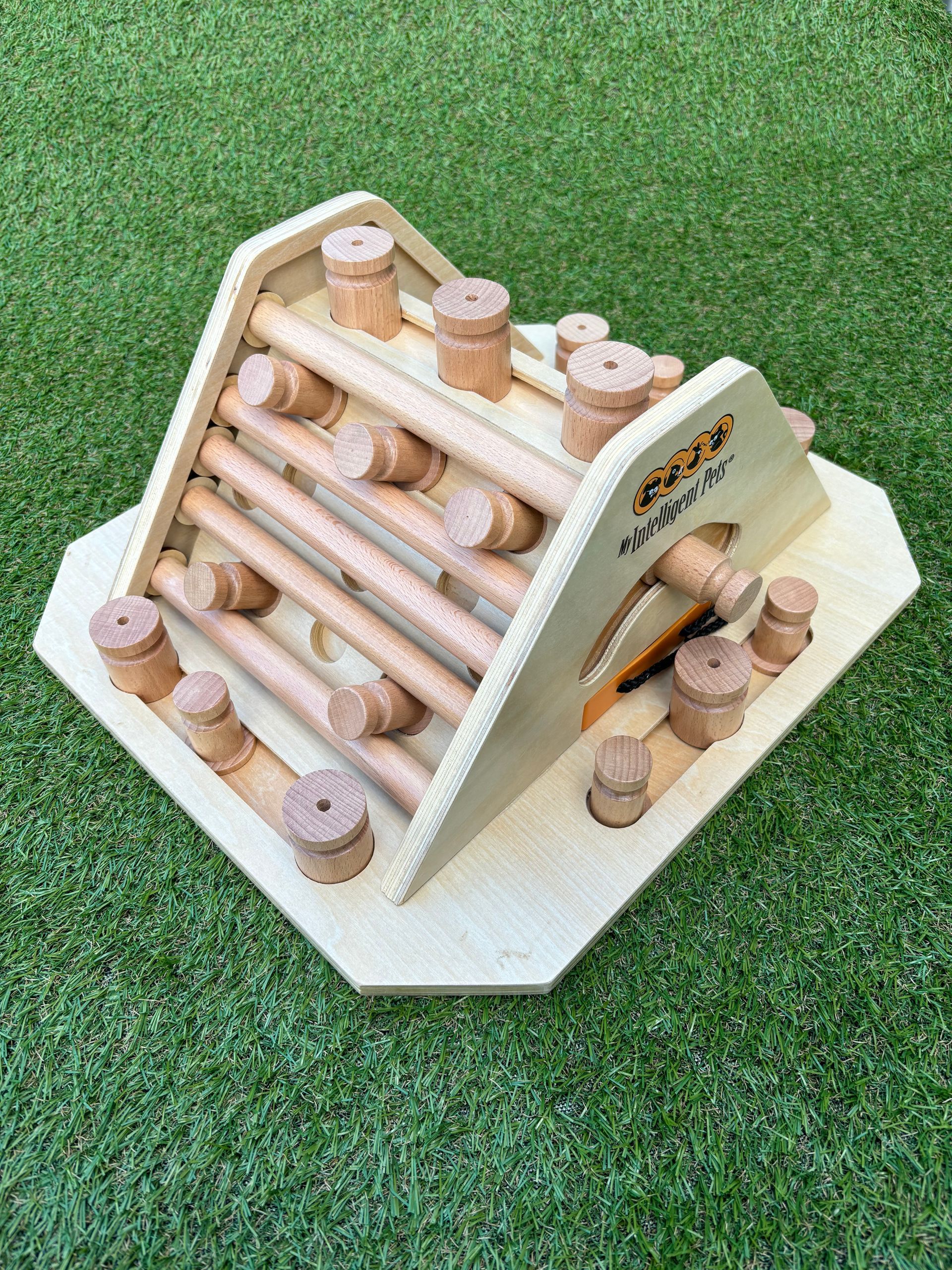 My intelligent dogs
workshop
hondendenksport
hondenpuzzel
alphen aan den rijn