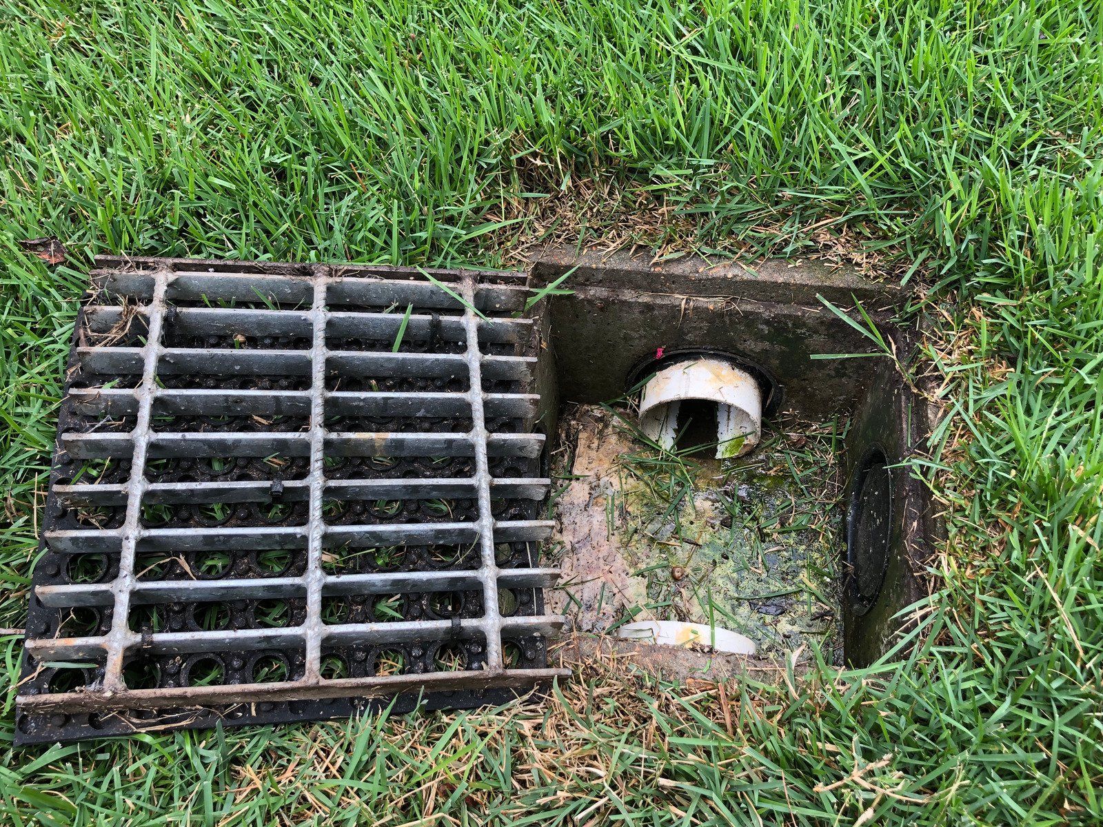 Grassy area with a partially open metal drain cover, revealing a pipe.