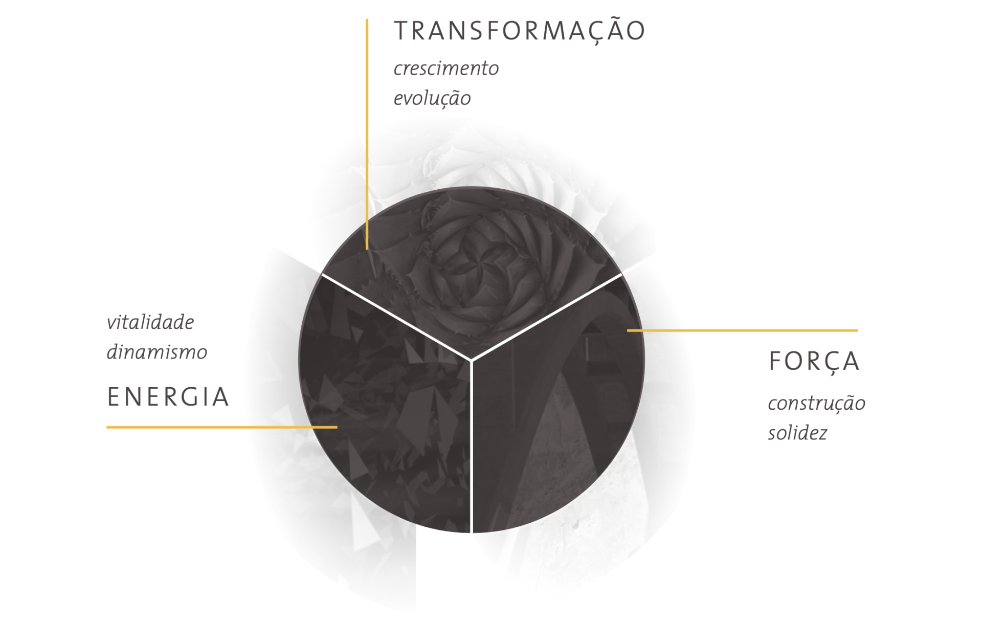 Um círculo preto com a palavra transformação nele