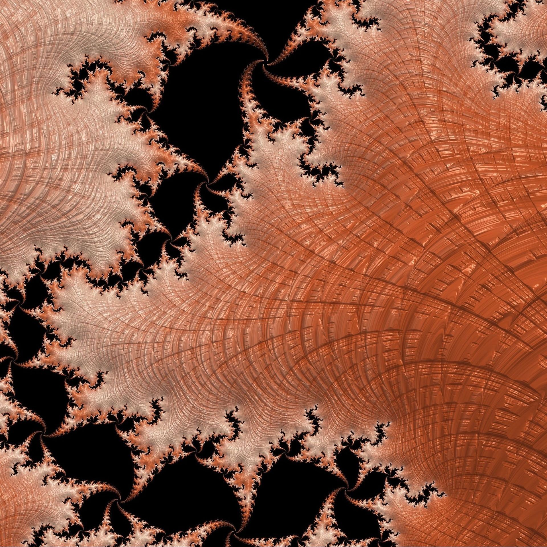 A computer generated image that looks like a spider web