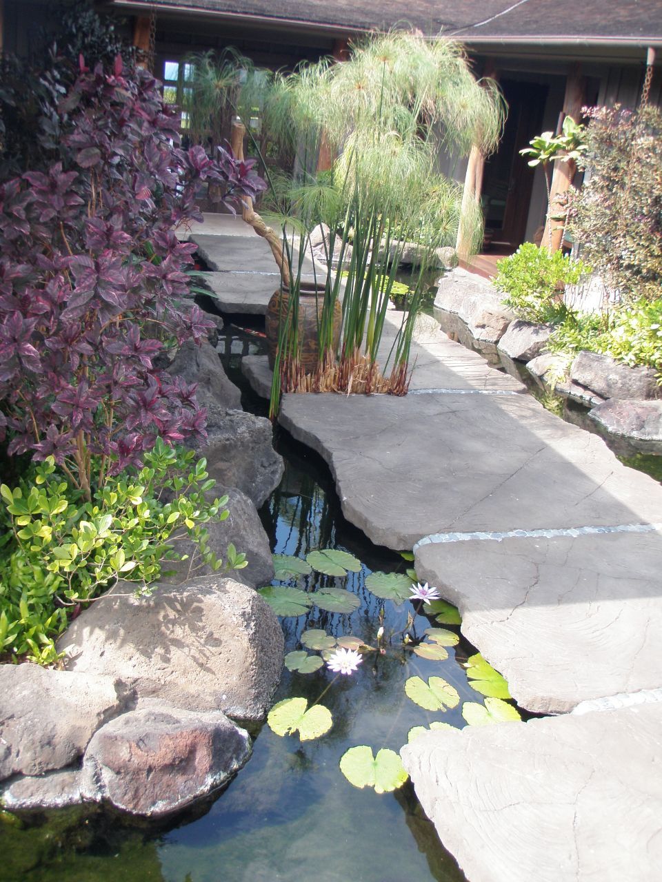 home pond water features