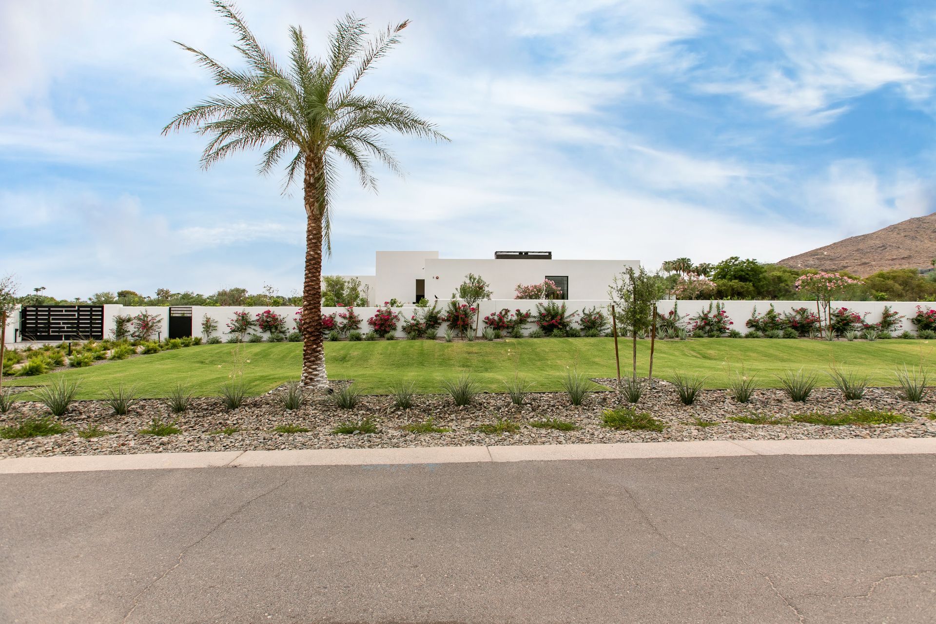 Modern white home with palm tree in a grassy yard under a blue sky.