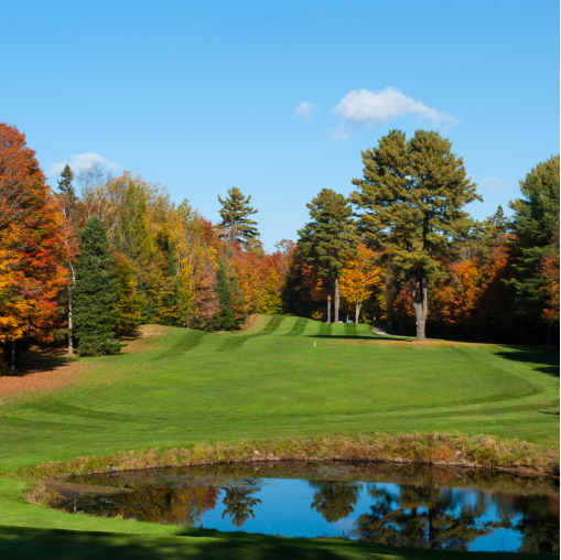 A golf course with trees and a pond in the middle