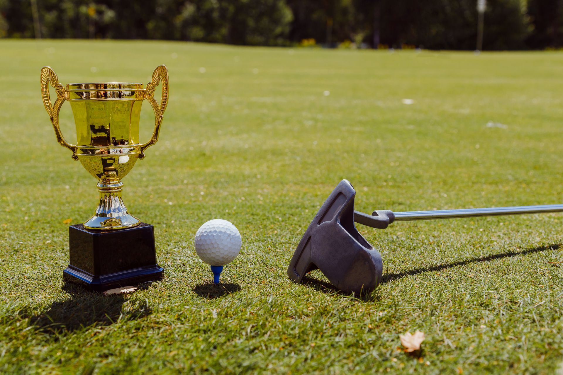A trophy , golf ball , and putter are on a golf course.