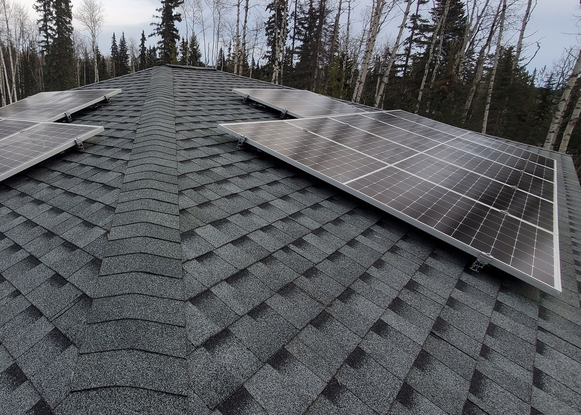 Solar panels mounted on a dark shingle roof with trees in the background