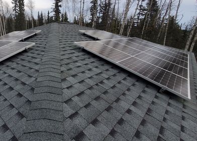 Solar panels mounted on a dark shingle roof with trees in the background