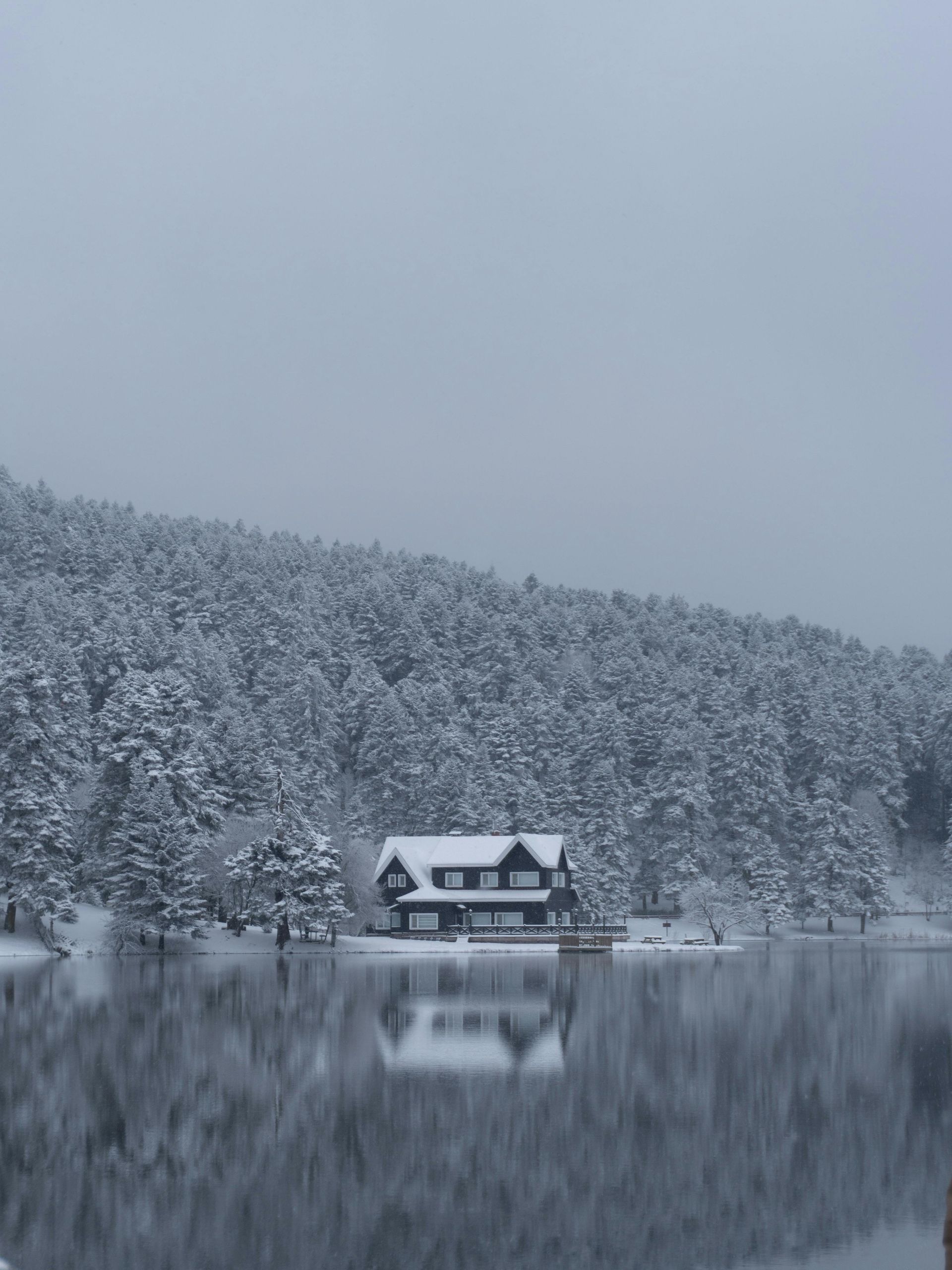 Snowy lakeside cabin reflected in still water, surrounded by snow-covered trees and a gray sky