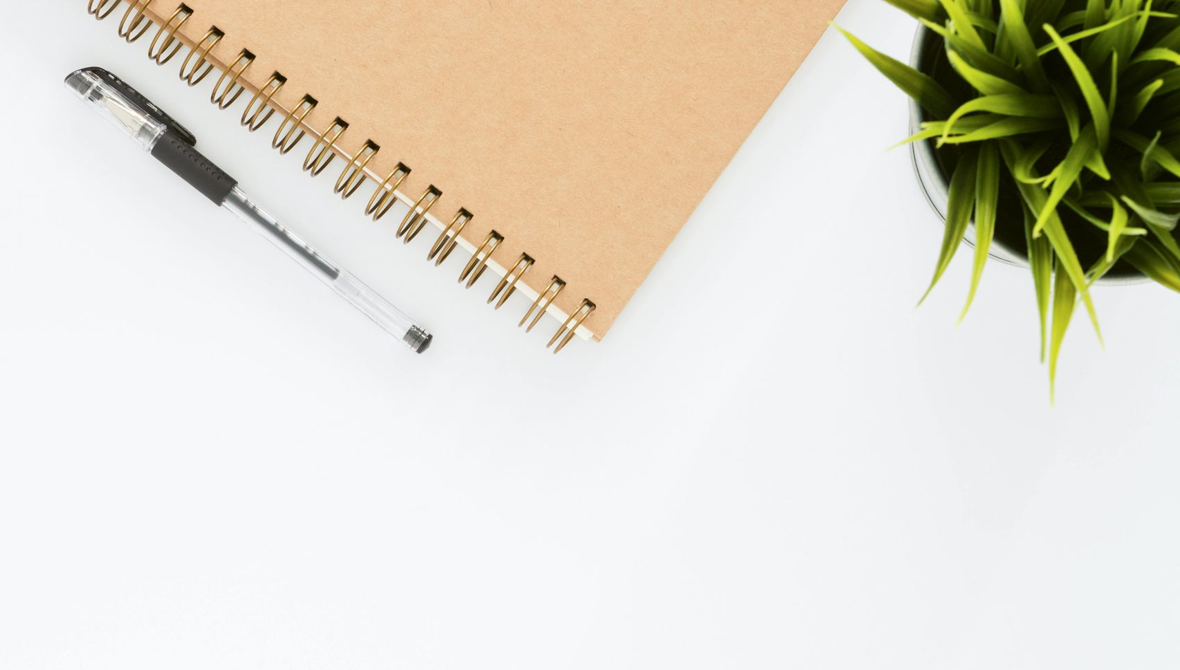 Desk workspace with tan spiral notebook, black pen, and green plant on a white background