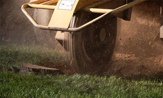 Stump Grinding —  Removing a Felled Tree Stump in Shelby Township, MI