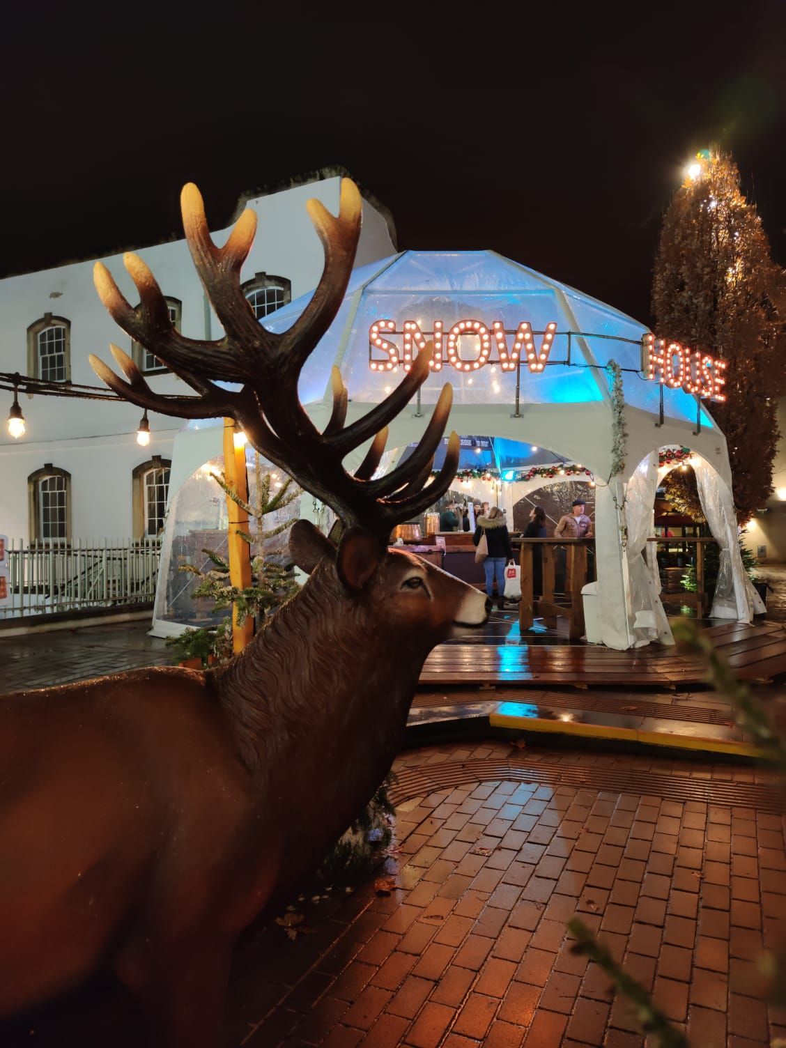 A deer is standing in front of a snow house tent