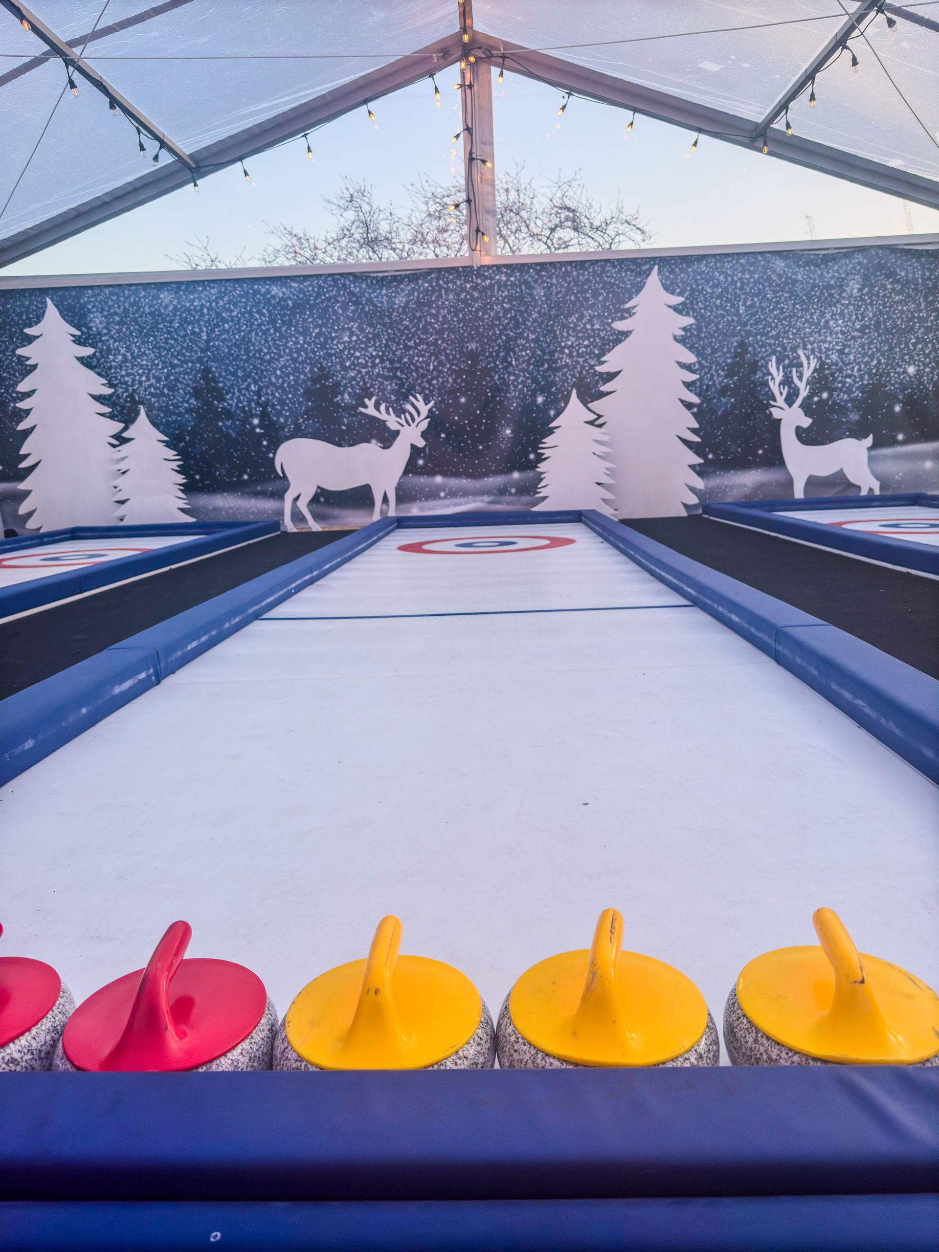 A curling rink with a painting of deer and trees on the wall
