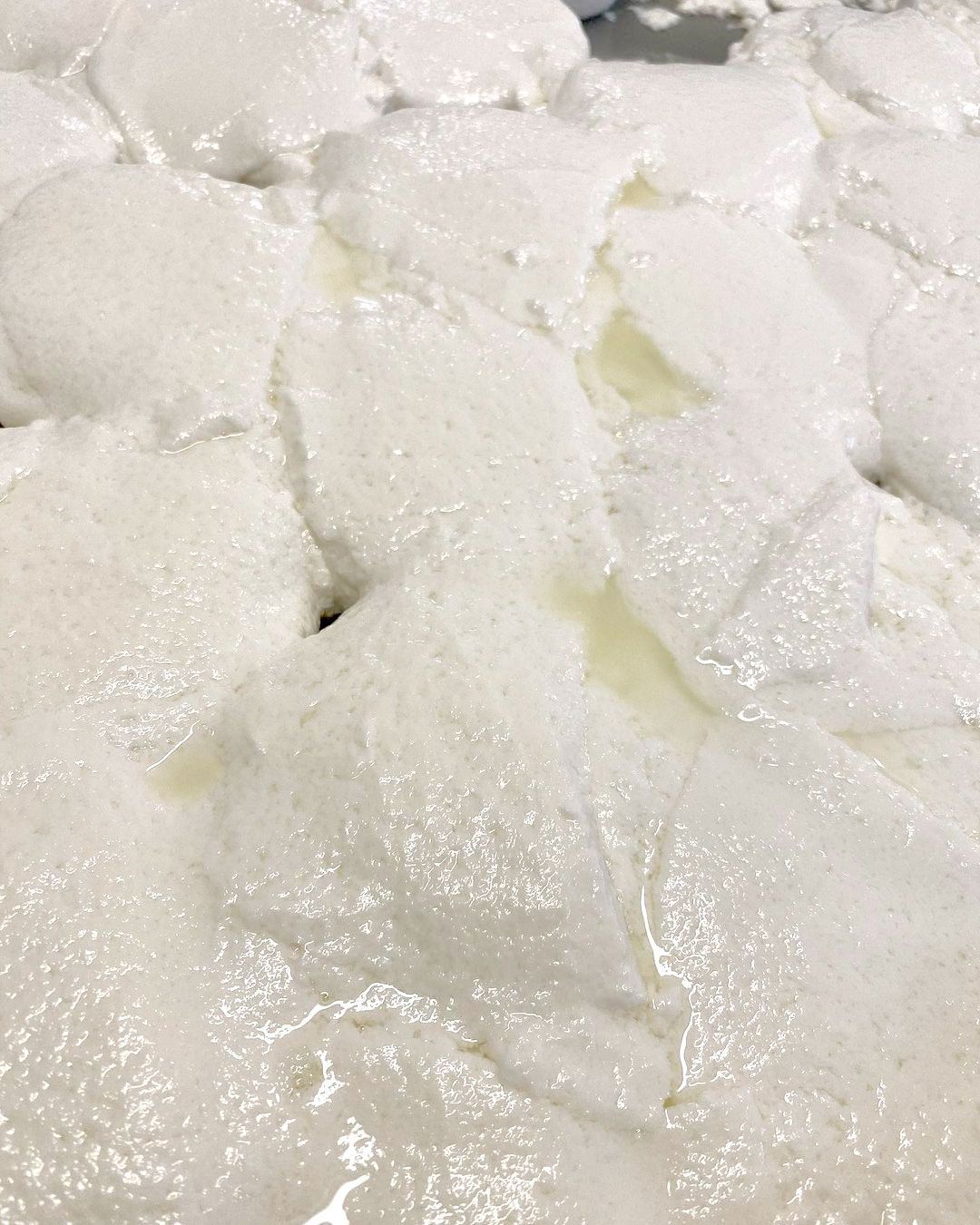ricotta fresca
