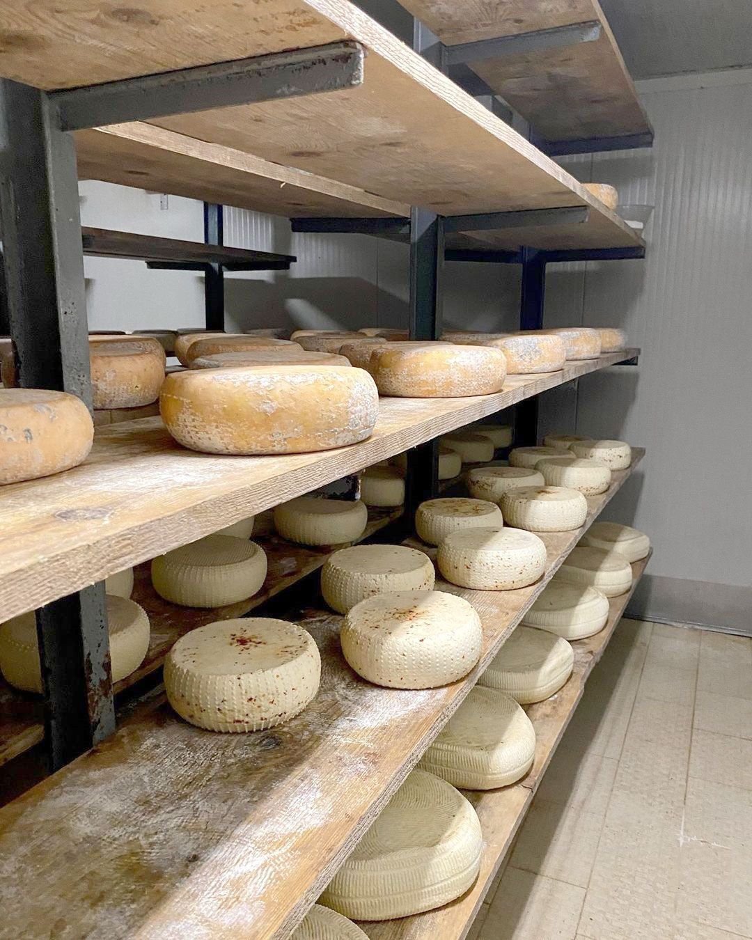 tome bianche e aromatizzate