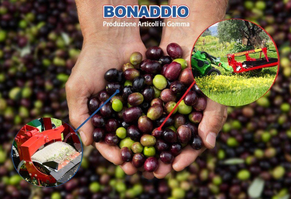 Raccoglitore motorizzato