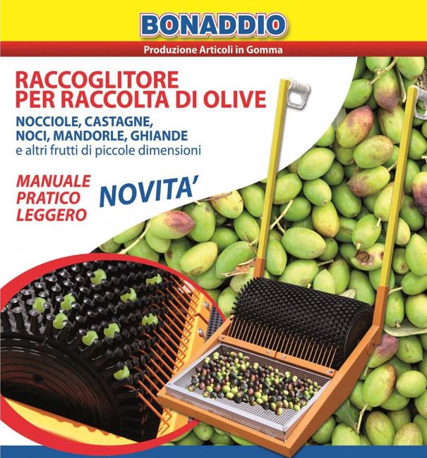 Raccoglitore per raccolta di olive
