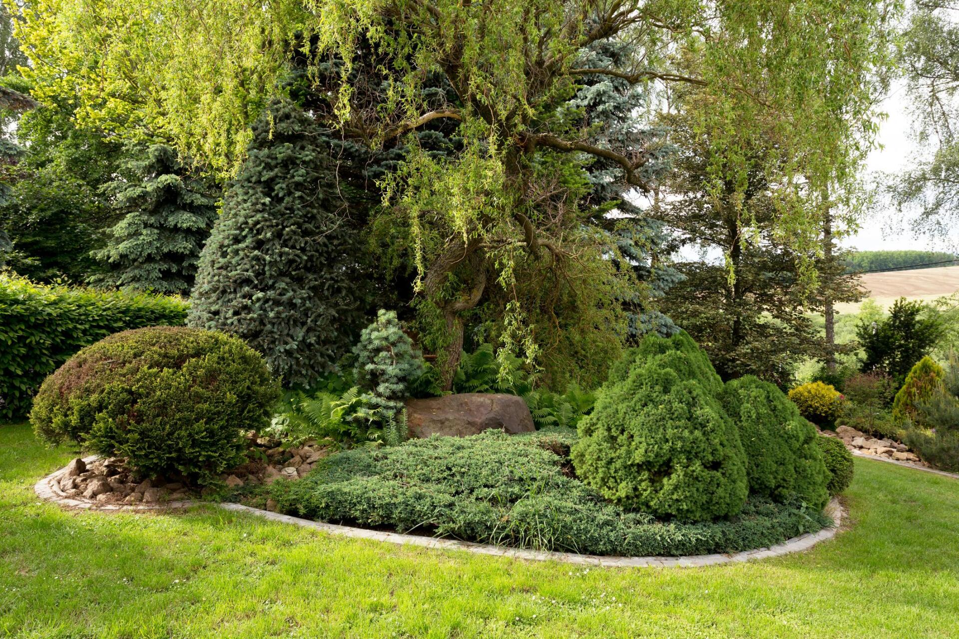 green bushes and shrubs