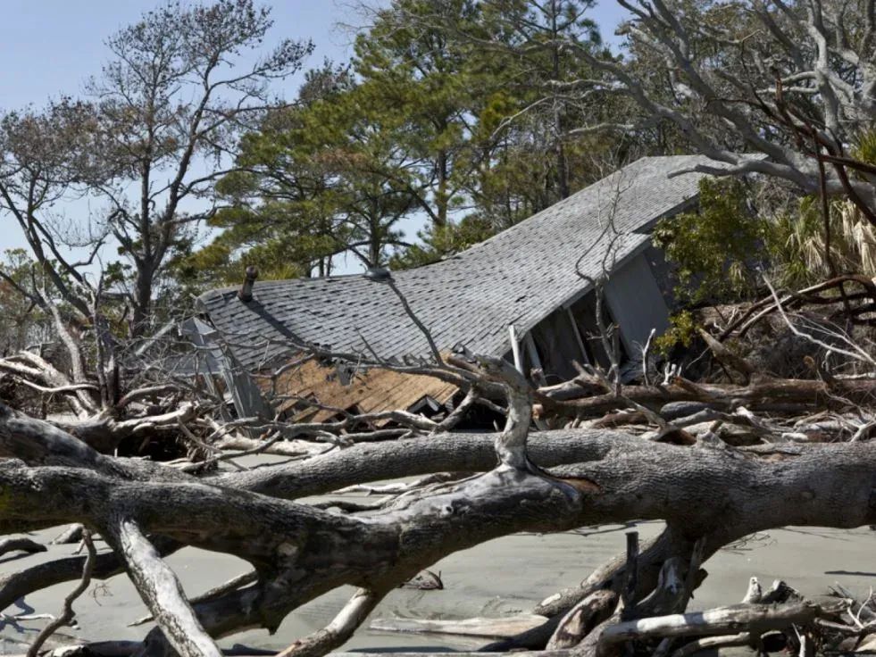 A dilapidated house on a beach, with its roof caved in, surrounded by fallen trees.