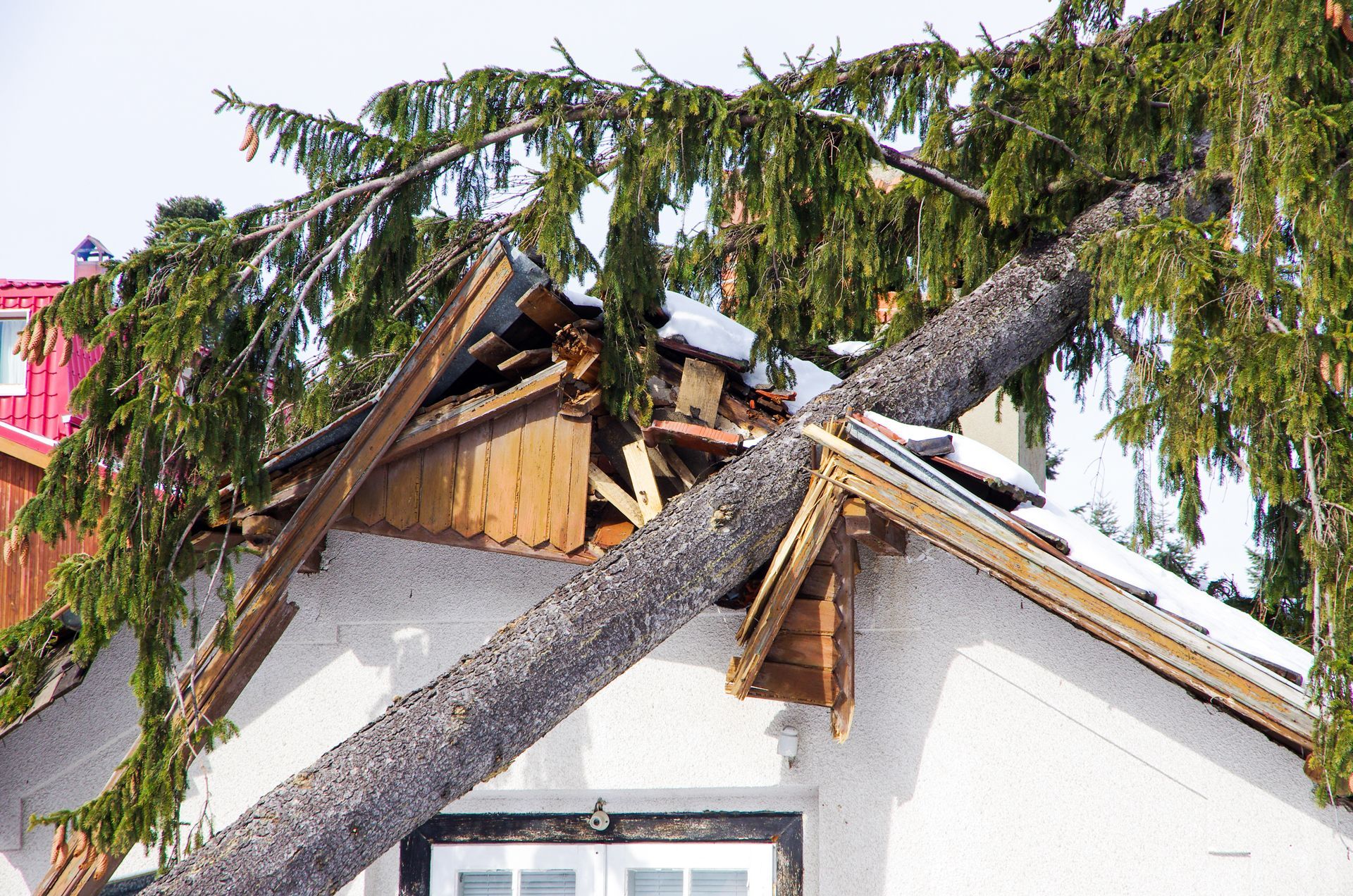 A dilapidated house on a beach, with its roof caved in, surrounded by fallen trees.