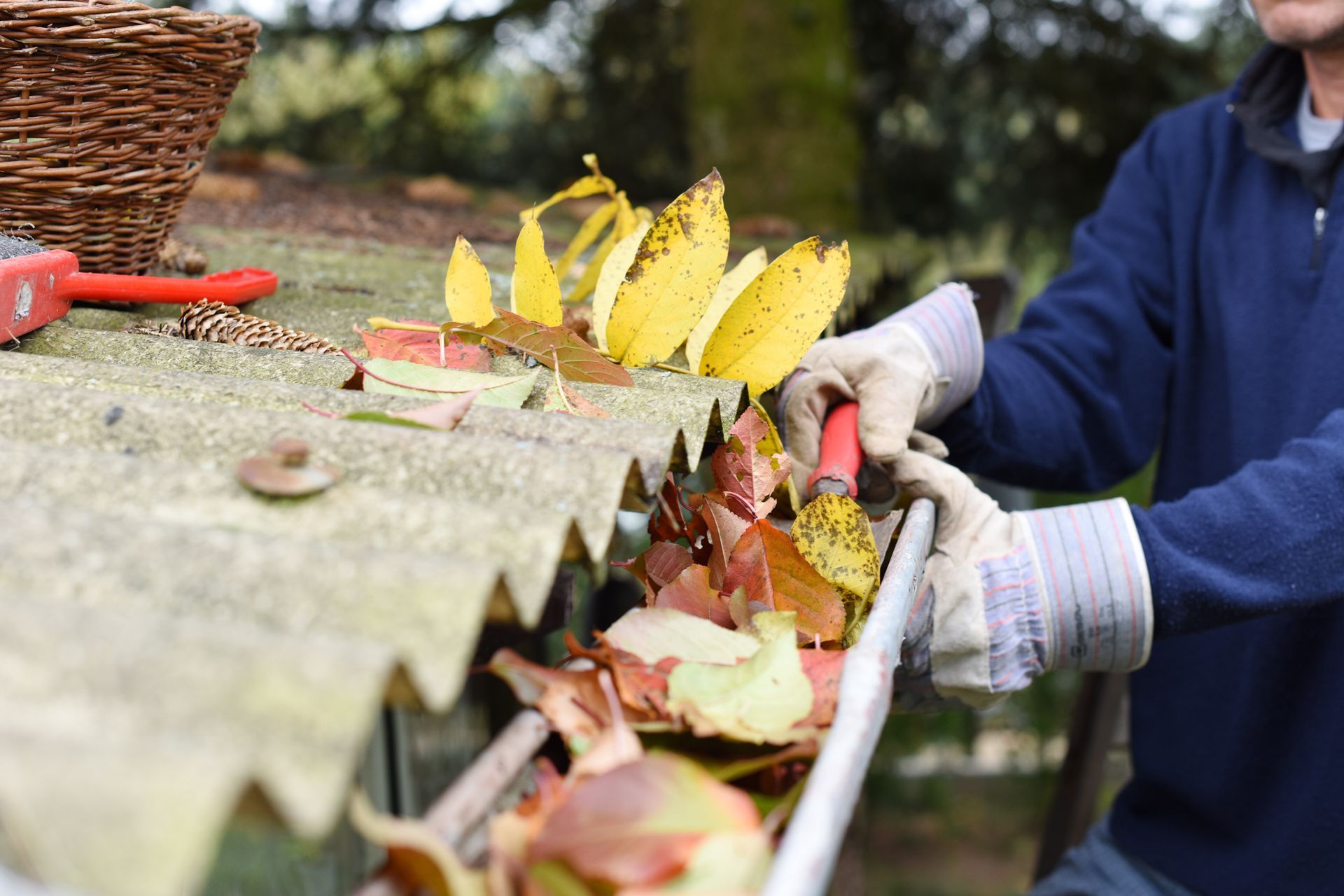 Person in blue sweater and gloves cleaning leaves from a gutter, next to a wicker basket.