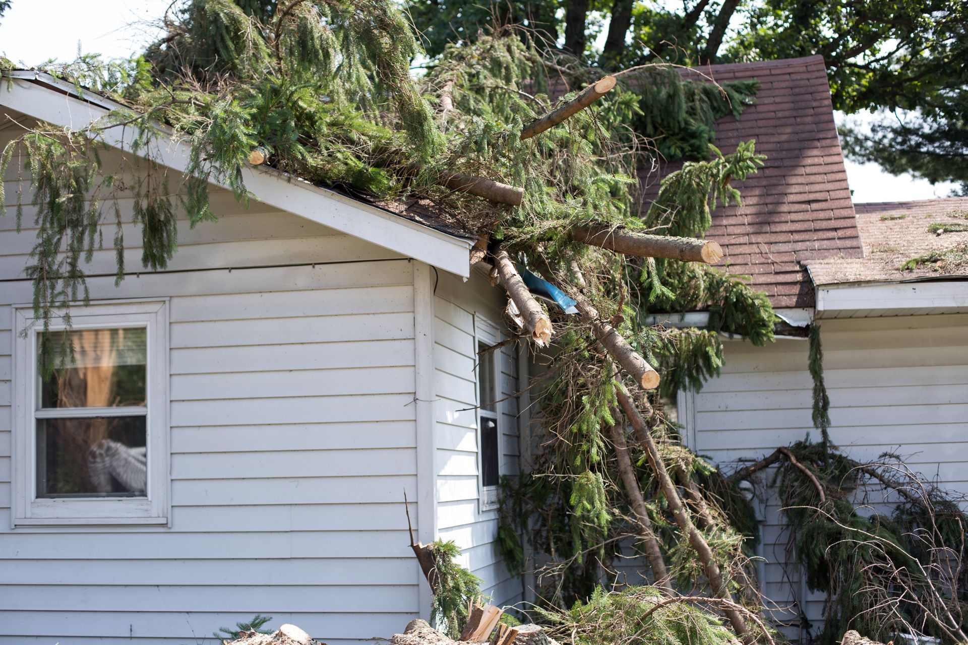 Tree branches fallen on white house roof. Person visible in window.