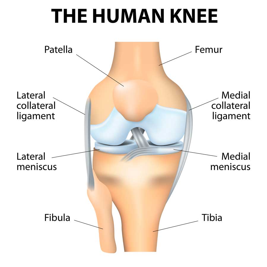 Knee Pain Therapy