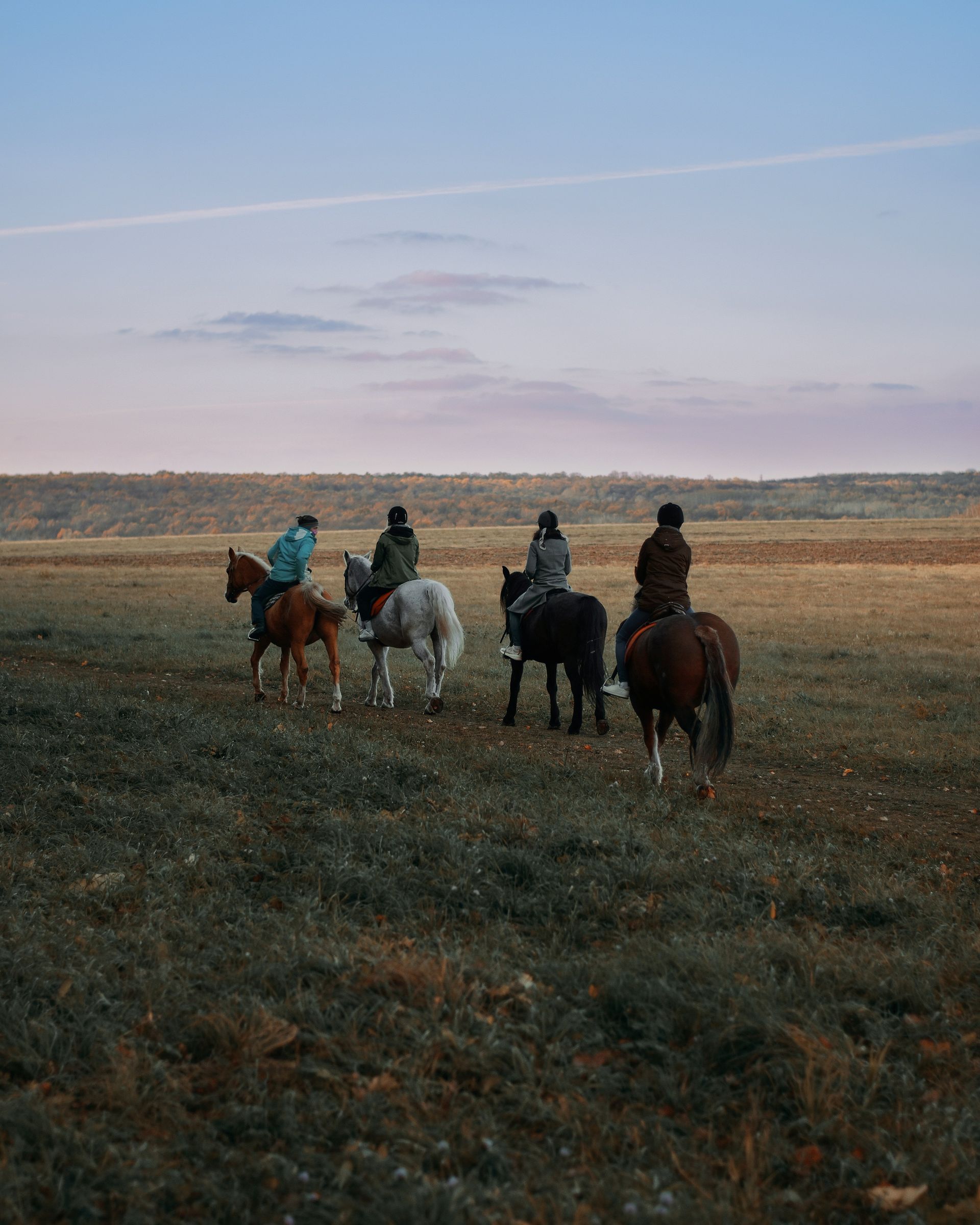 Four riders on horseback crossing a grassy plain at dusk under a pastel sky.