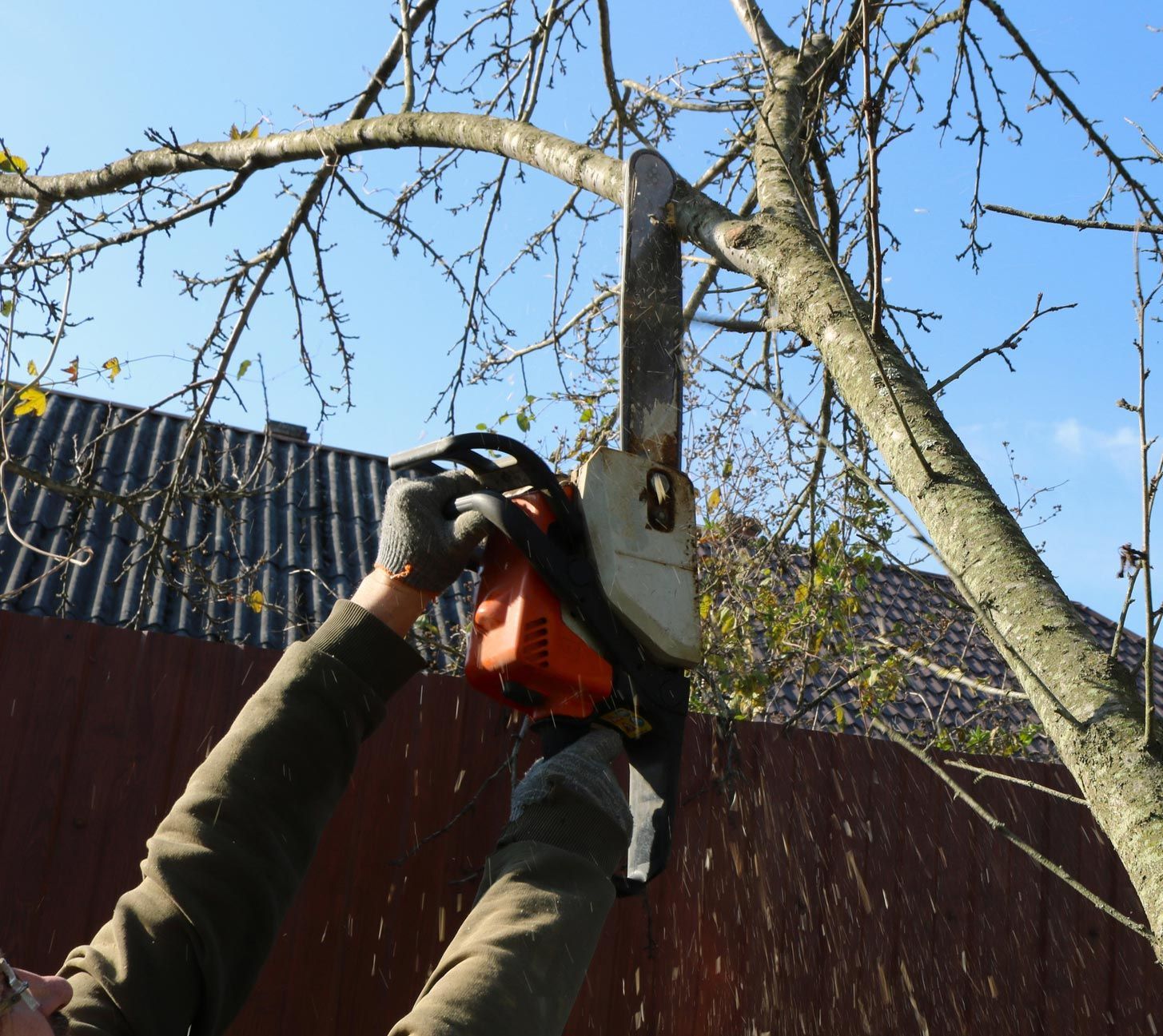 Tree worker cutting and trimming a branch that is over a roof