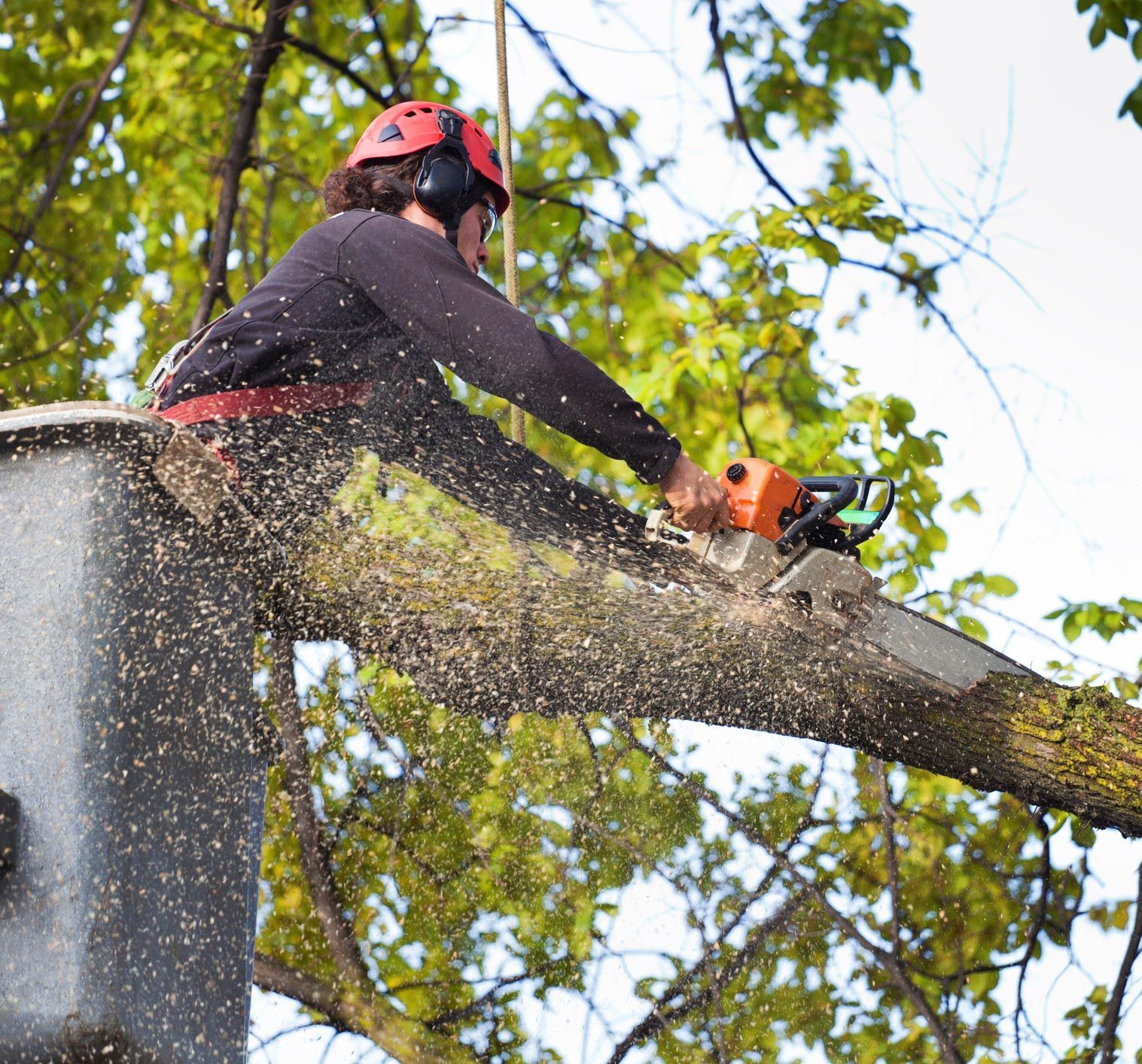 Person in safety gear cutting a tree branch with a chainsaw on a platform.