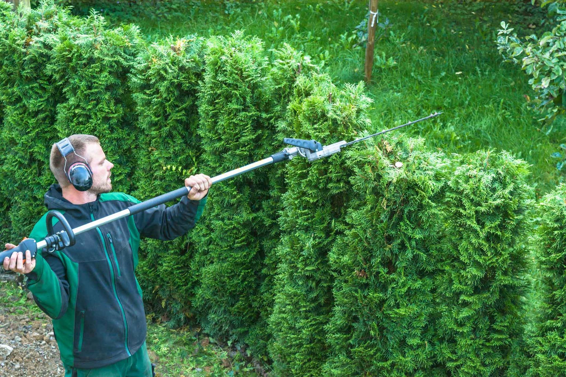 A man wearing headphones is cutting a hedge with a long pole. A man wearing headphones is cutting a hedge with a long pole.