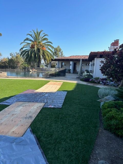 A house with a palm tree in the backyard – San Diego, CA – One Tripp Tree Service