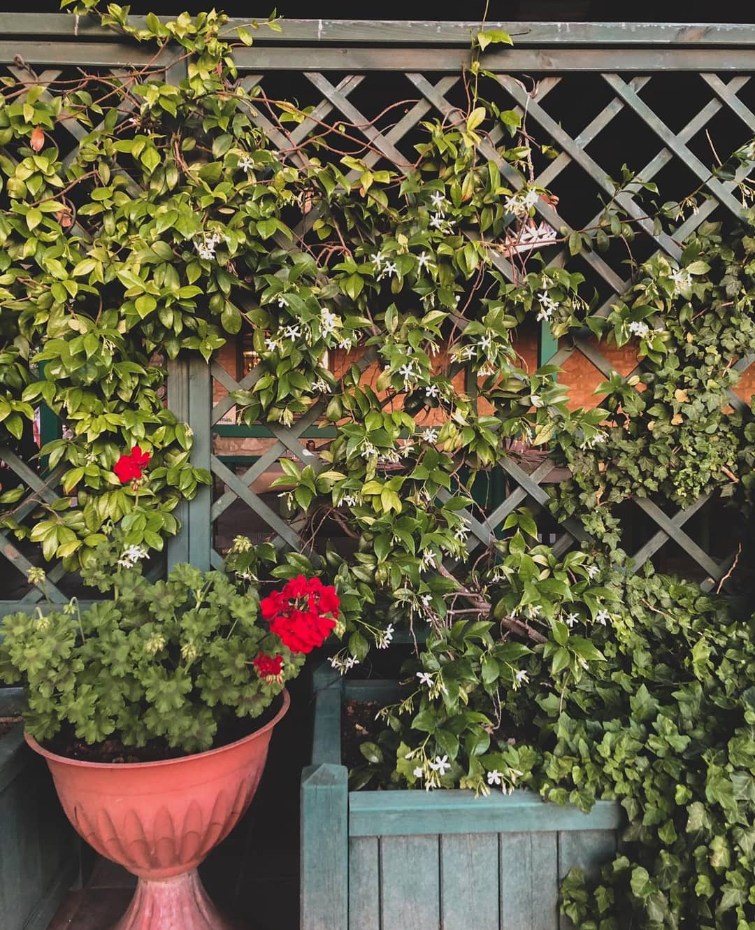 gazebo trattoria con piante