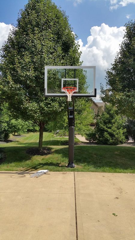 A basketball hoop is sitting on a sidewalk in front of a tree.