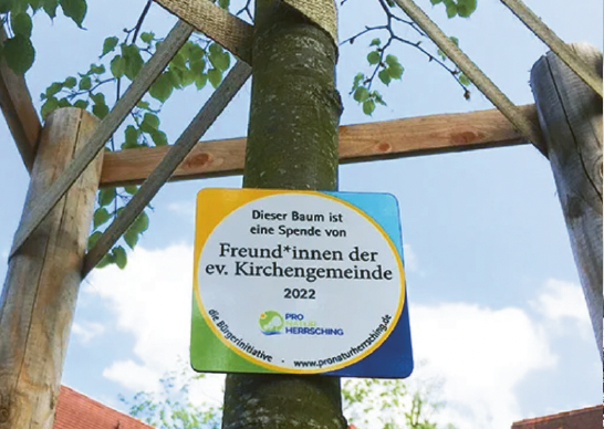 Baumpflanzungen