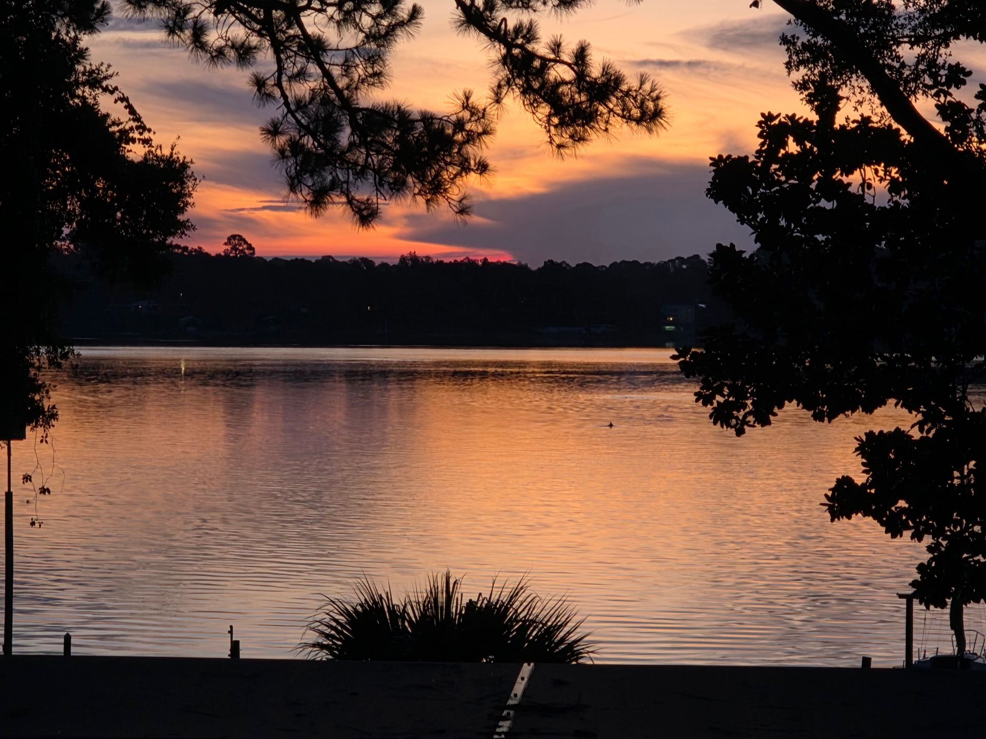 Sunset over a calm lake, framed by silhouetted trees and bushes. Orange and purple sky reflected on the water.
