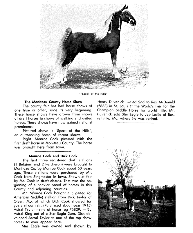 Black-and-white page showing two horse photos with small descriptive text blocks.