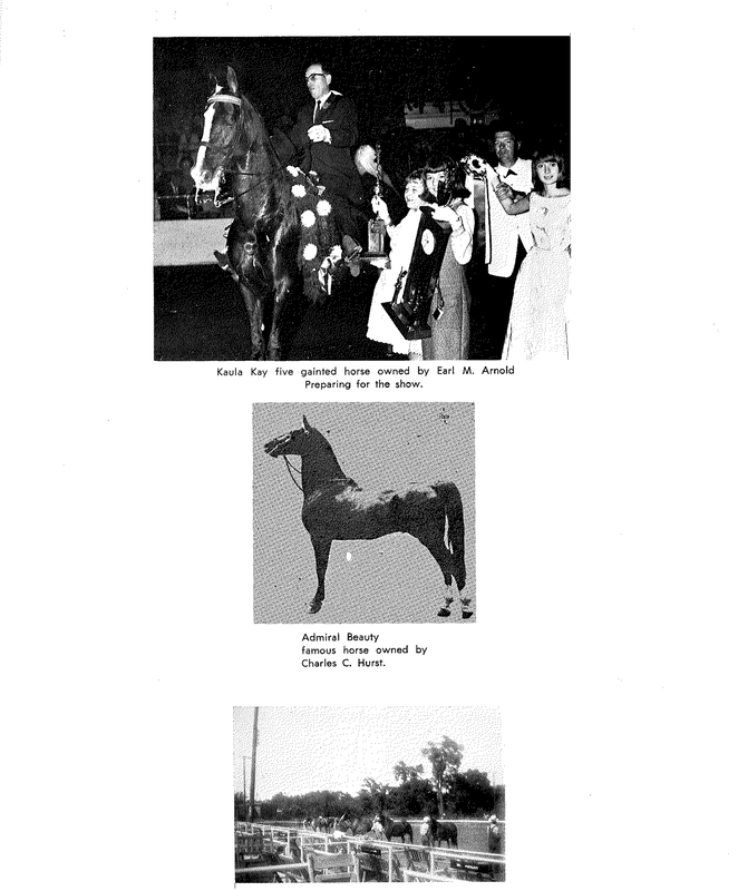Black horse and rider beside a group of people, with smaller horse photo and building below on a white page